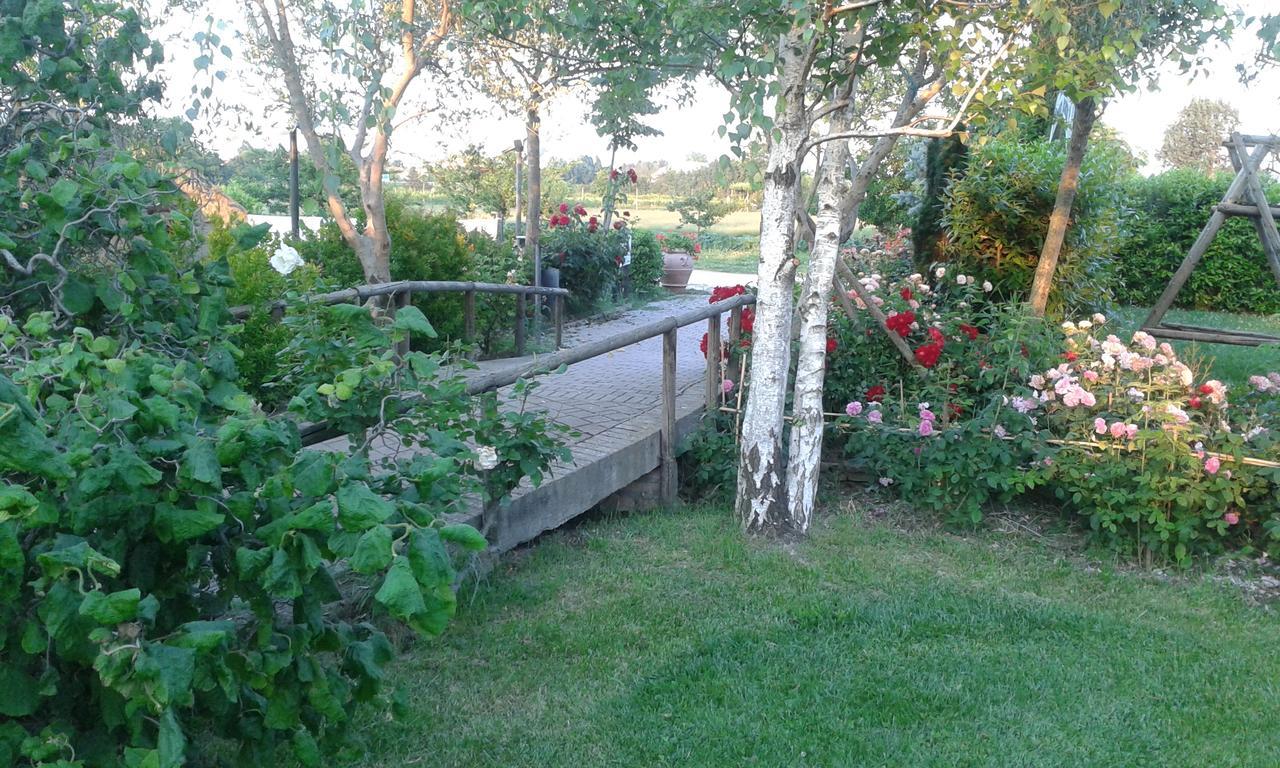Fattoria Belvedere Bellaria-Igea Marina Exterior foto