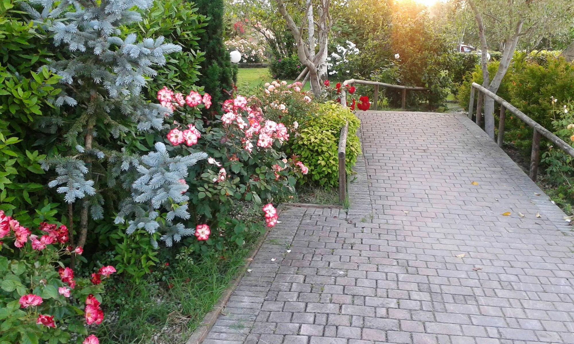 Fattoria Belvedere Bellaria-Igea Marina Exterior foto