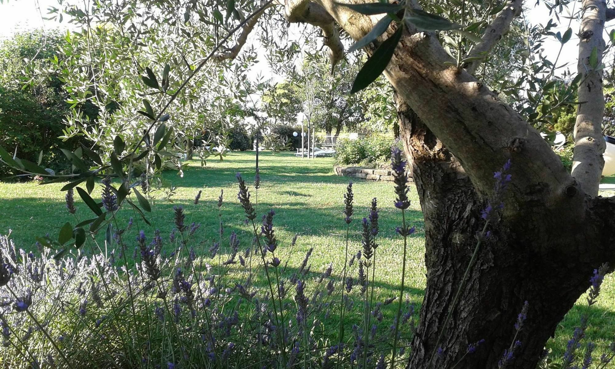 Fattoria Belvedere Bellaria-Igea Marina Exterior foto