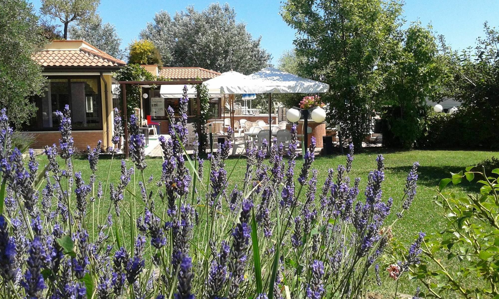 Fattoria Belvedere Bellaria-Igea Marina Exterior foto